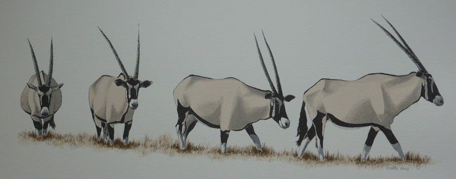 Marching Oryx Watercolour